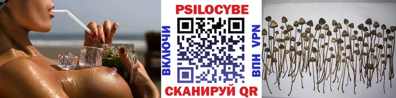 Галлюциногенные грибы Psilocybe  Купить  Воскресенск 